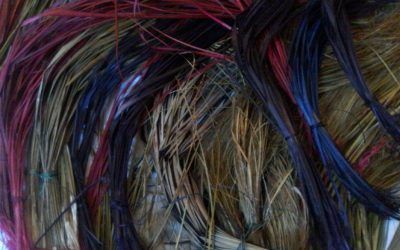 Local hero – Baskets of knowledge