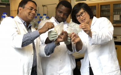 Plastic packaging: from bad rap to good wrap?